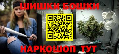 твердый Бийск